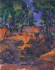 Cezanne landscapes - Photo Number 7